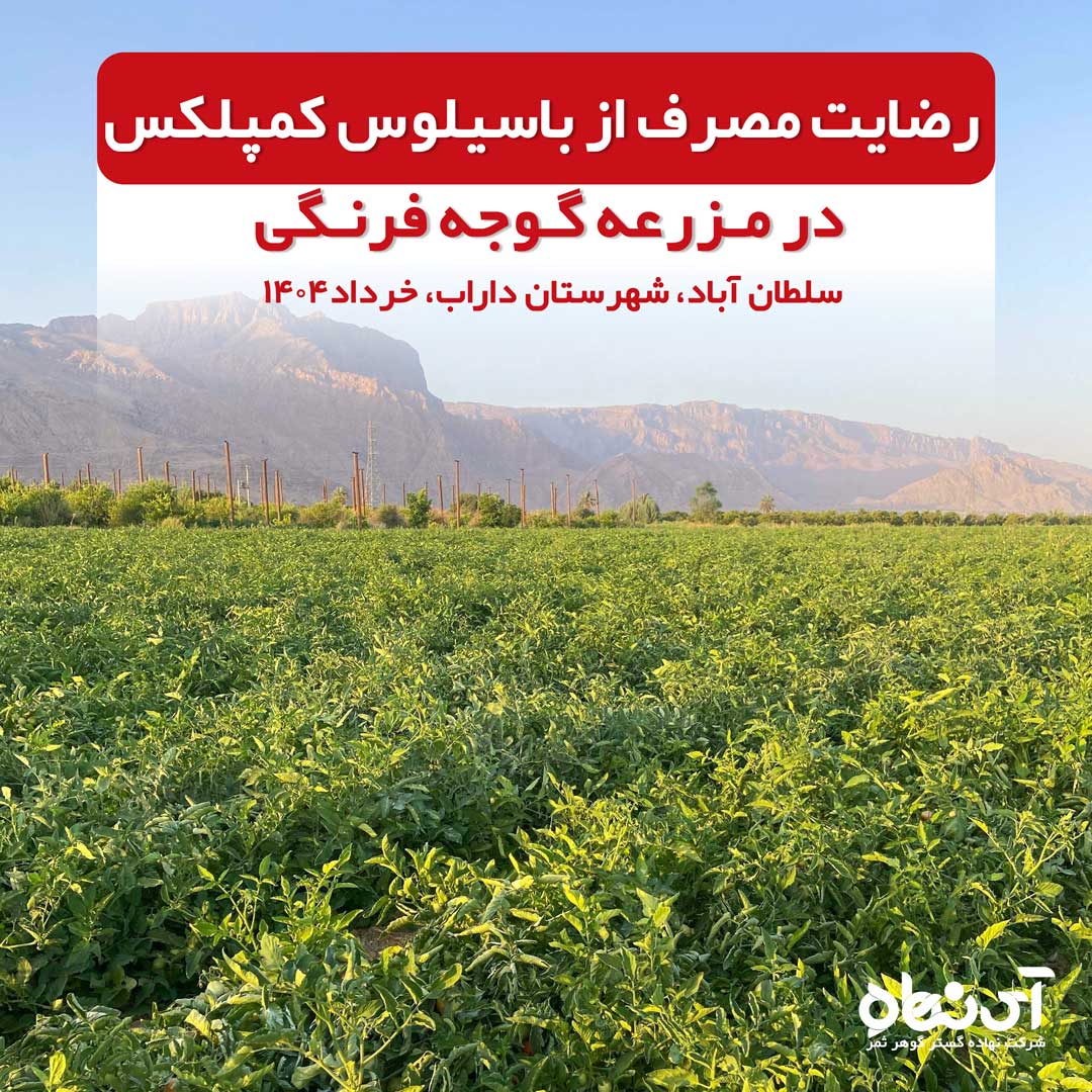 رضایت مصرف از باسیلوس کمپلکس در مزرعه گوجه فرنگی سلطان آباد، شهرستان داراب، خرداد 1404